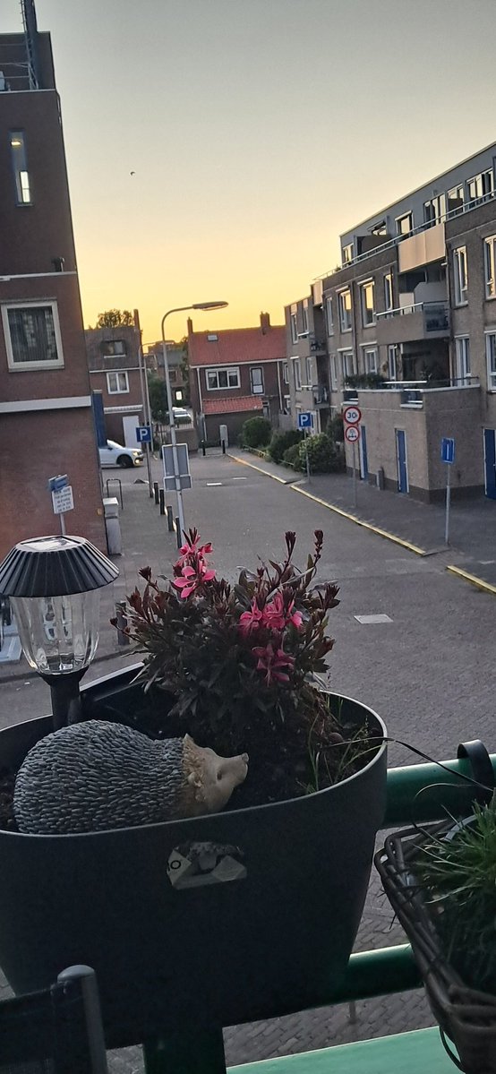 Rita de Korte tweet media
