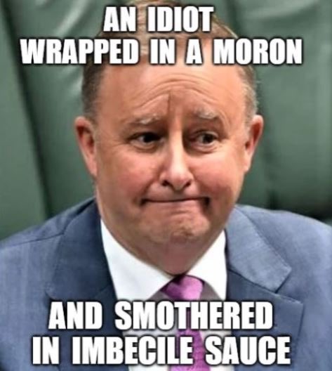 🌟🇦🇺Lady Meerkat🇺🇸🌟 tweet media