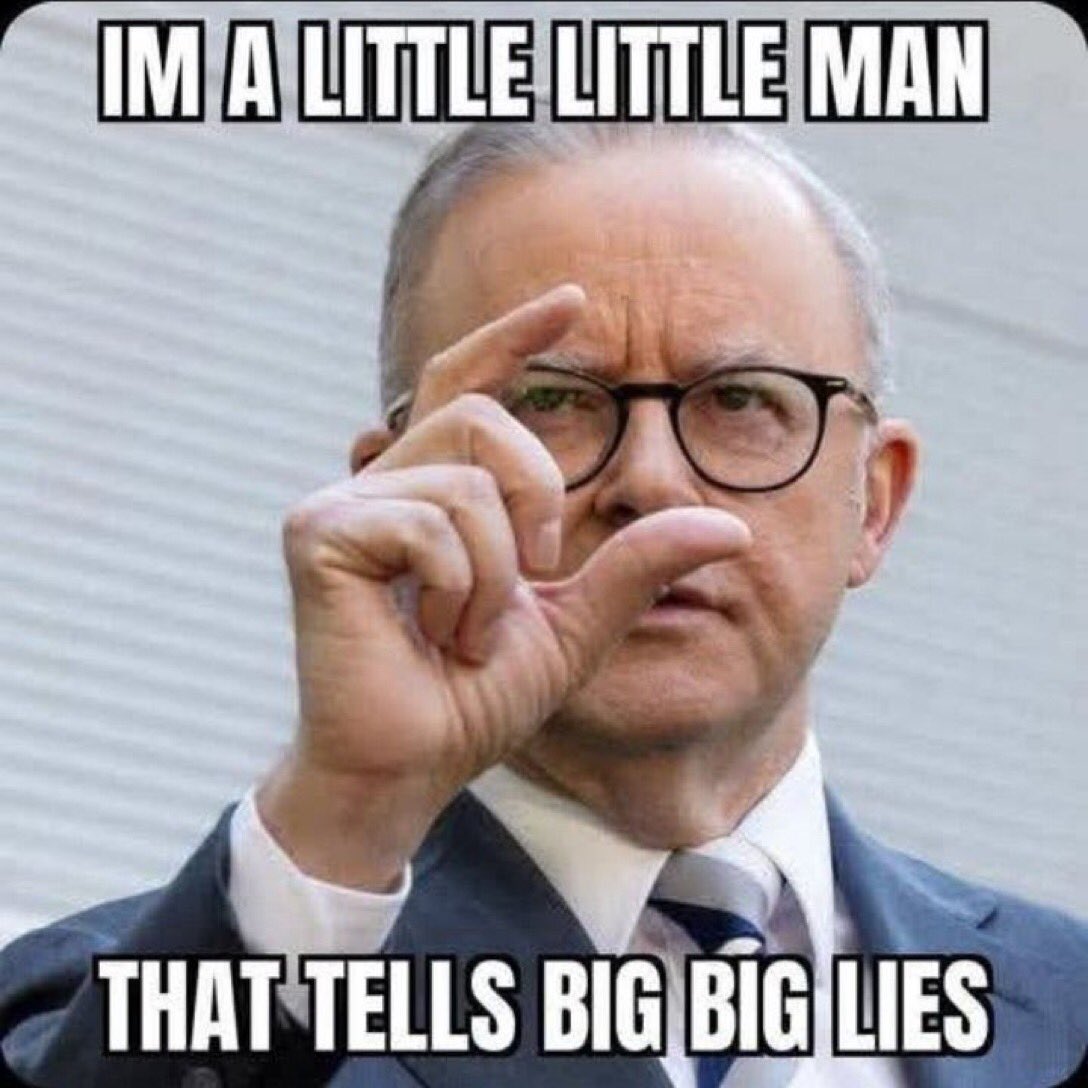 🌟🇦🇺Lady Meerkat🇺🇸🌟 tweet media
