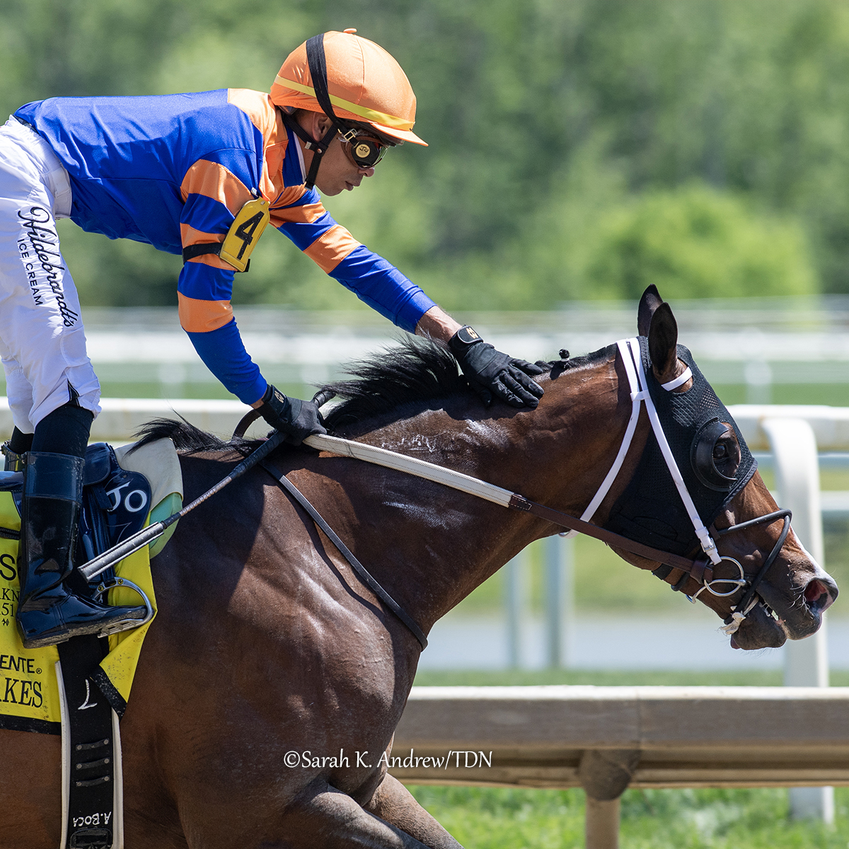 theTDN's tweet photo. Preakness Day Recap 🌻 Saturday at Laurel

'TDN Rising Star' OBLITERATION (Violence), runner-up in the mid-February running of the G3 Saudi Derby last time out, made a victorious stateside return in the Chick Lang Stakes.

ICYMI - Read more: https://t.co/vJwAtFBfj9 https://t.co/FV73kCVRnY