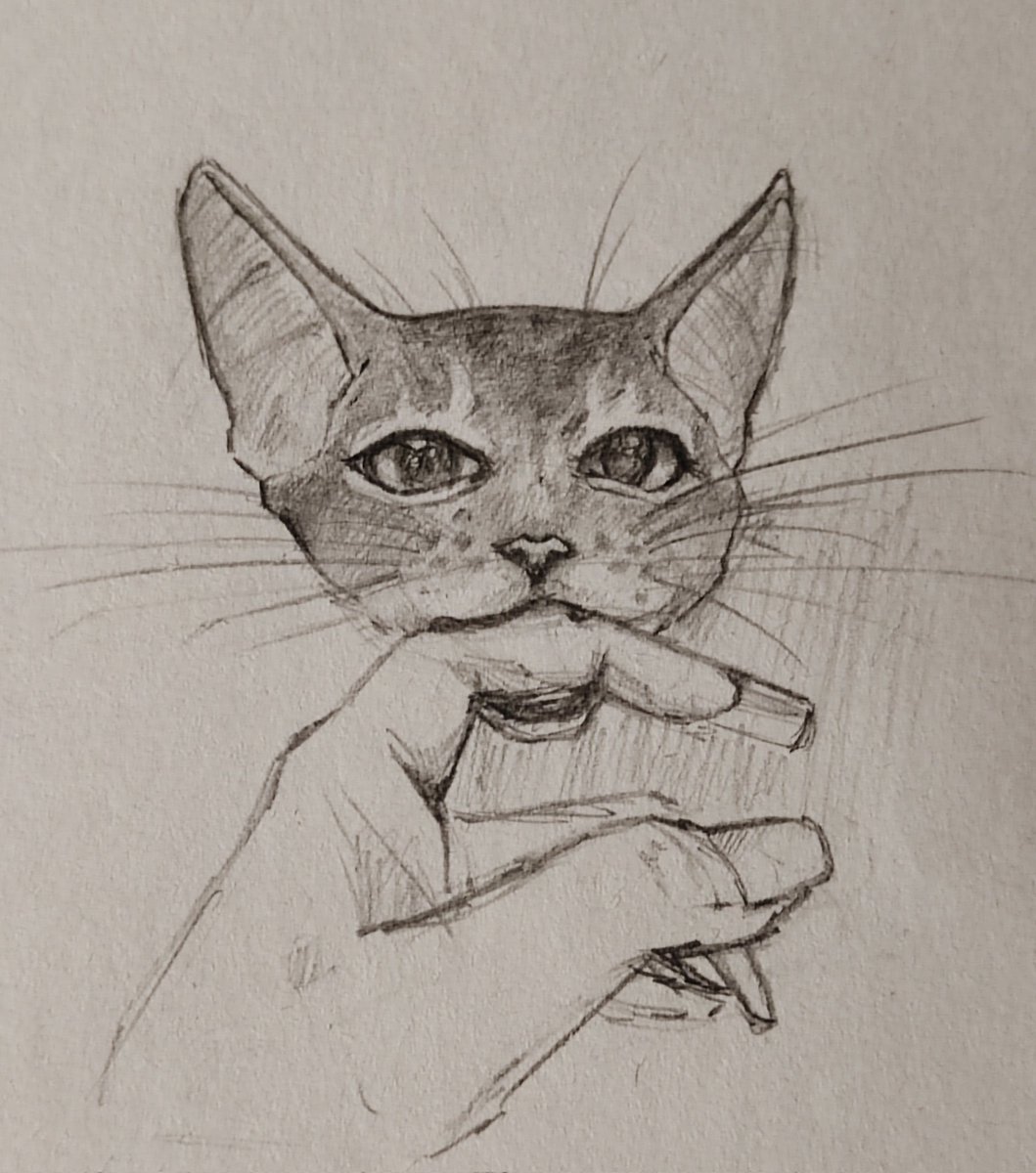 Chylook_'s tweet photo. @ssinniebun Hey :3
Im digital artist. You can find some digitals, sketches and clay handmade figures in my profile. https://t.co/gU9nHpvZLy