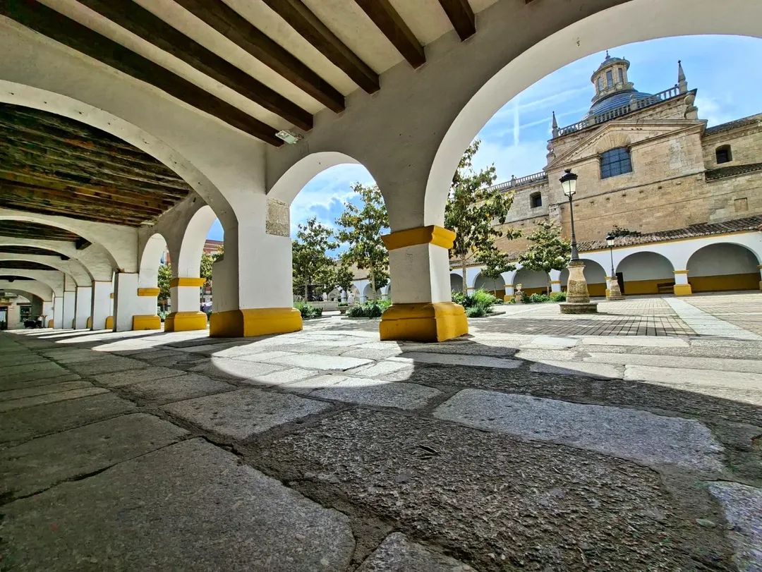 Visitas guiadas Ciudad Rodrigo, Mª Antonia Cid tweet media