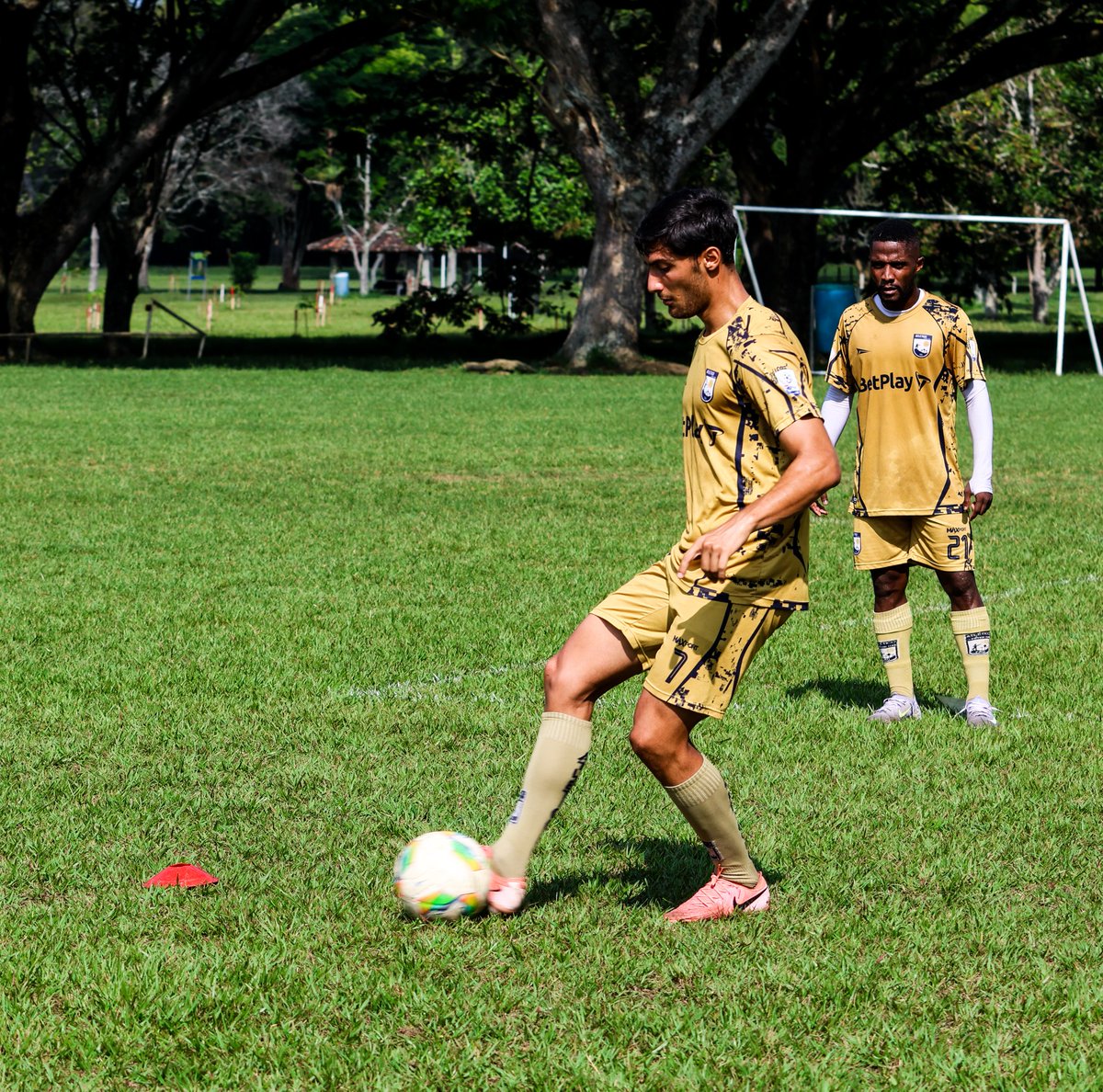 Atlético Fútbol Club tweet media