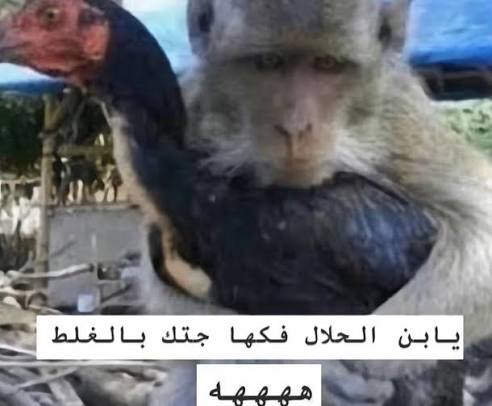 Dark tweet media
