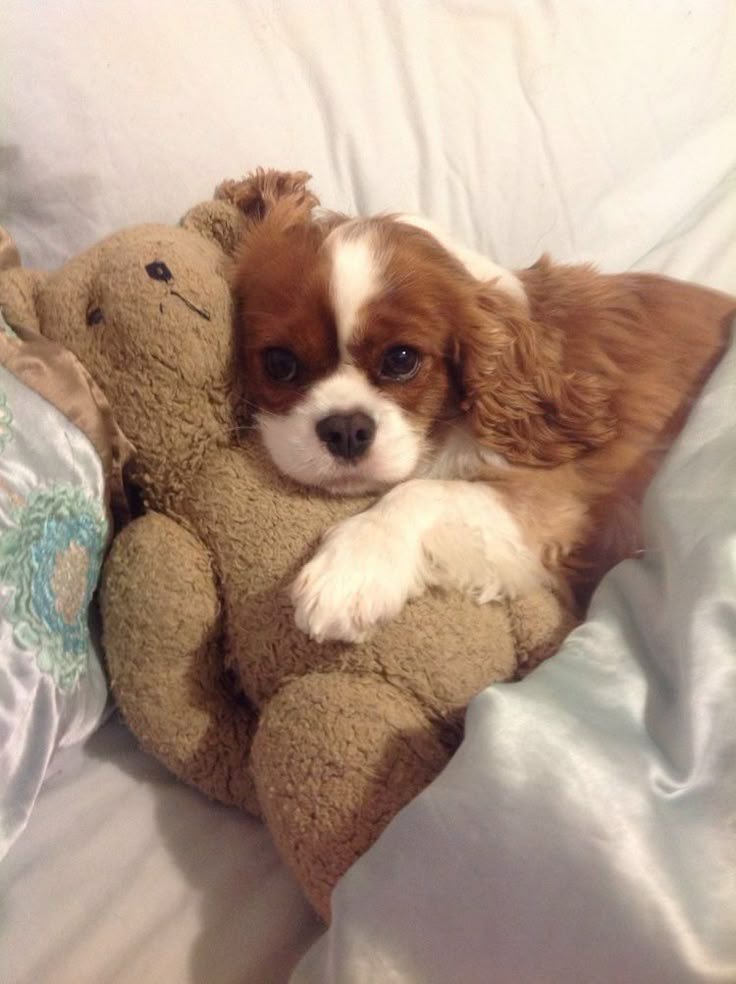 makeIovw's tweet photo. cupid is so dumb https://t.co/uiC7zOeHZ4