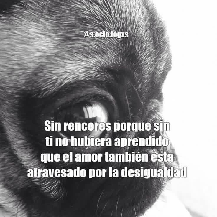Pachecoretro's tweet photo. https://t.co/u9iBOObJWR