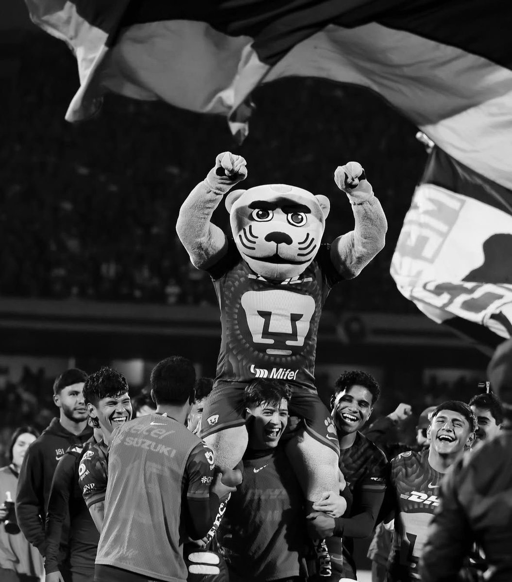 15AñosSinCampeonar tweet media