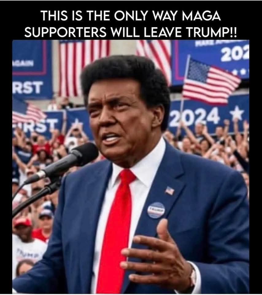 DonaldElibert's tweet photo. @HeatherTalks11 @CoryBooker Give it up yo! Everyone knows:: America is just a giant race card. I can tell you, when I walk through your neighborhoods, which one is black and which one is not. The inequality is so obvious. And if this was reality👇👇👇 MAGA would be inexistant, you filthy racist bitch!!! https://t.co/VcftdLBHQA