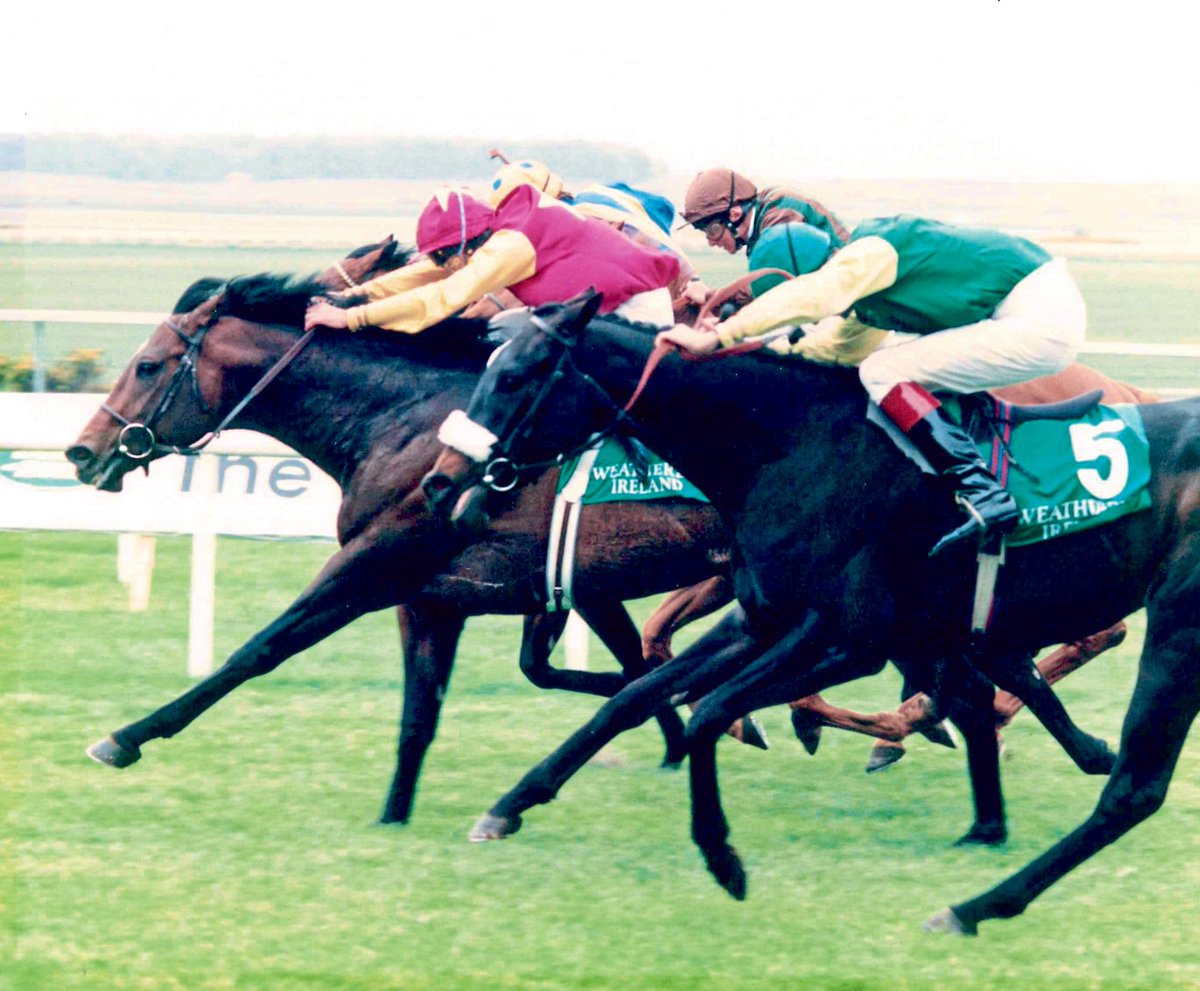 weatherbysltd's tweet photo. Saturday’s Group 2 Weatherbys Ireland Greenlands Stakes @curraghrace looks likely to be a competitive renewal.

It’s a race that we’ve proudly sponsored since 1994 when the Vincent O’Brien trained College Chapel won the race for the second time under Lester Piggott. https://t.co/datoW4tq91