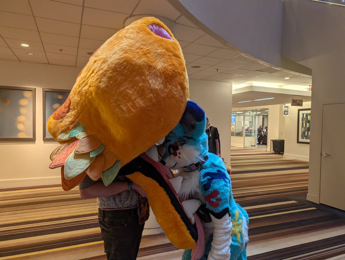 Splat Fennec 🔜 AC tweet media
