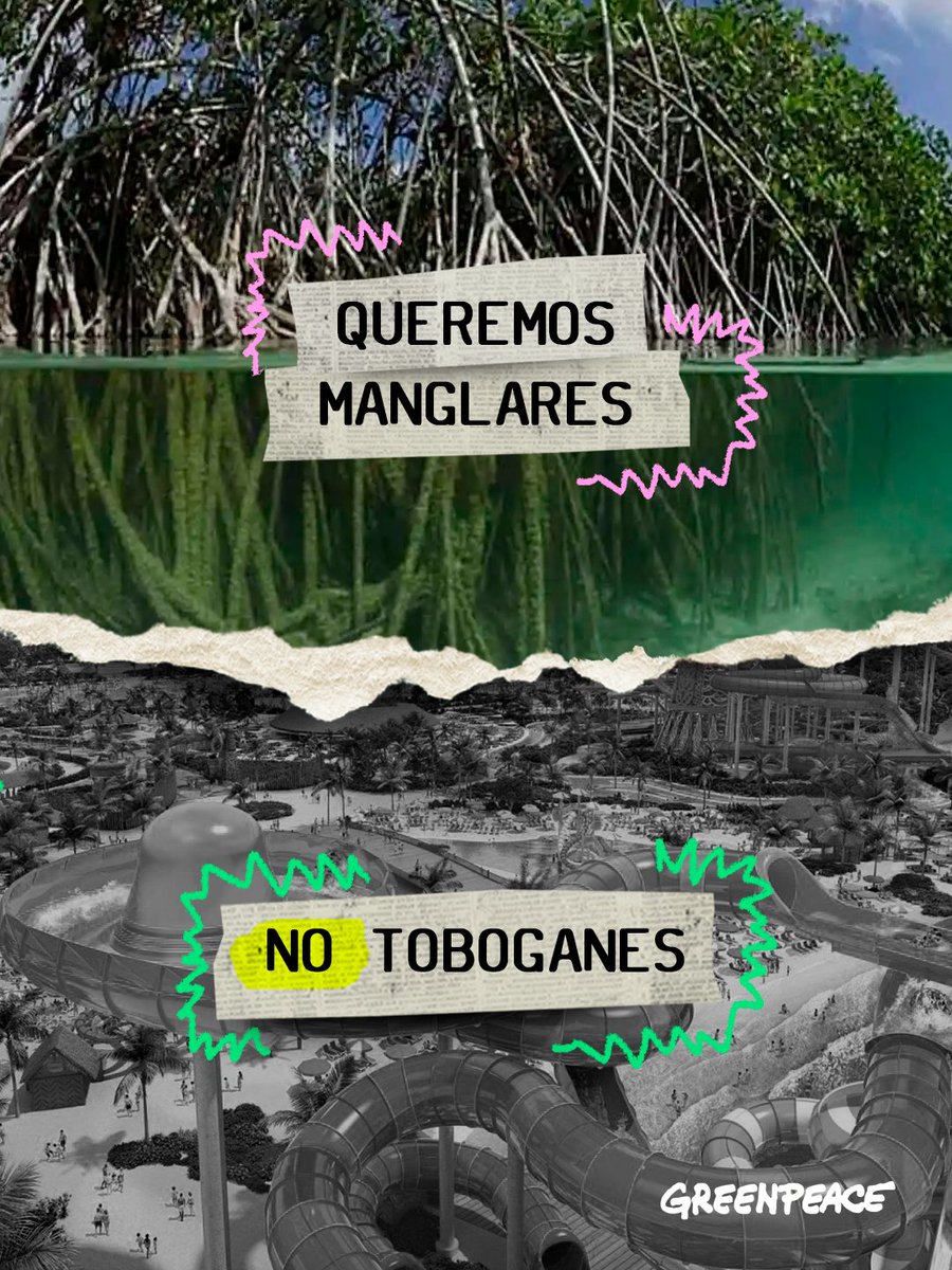 Greenpeace México tweet media