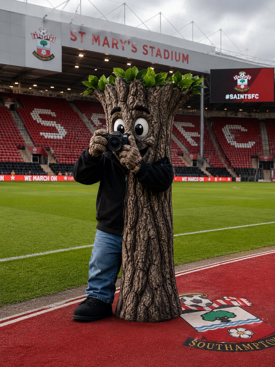 Do Not Scratch Your Eyes Watford FC Podcast 🐝 tweet media