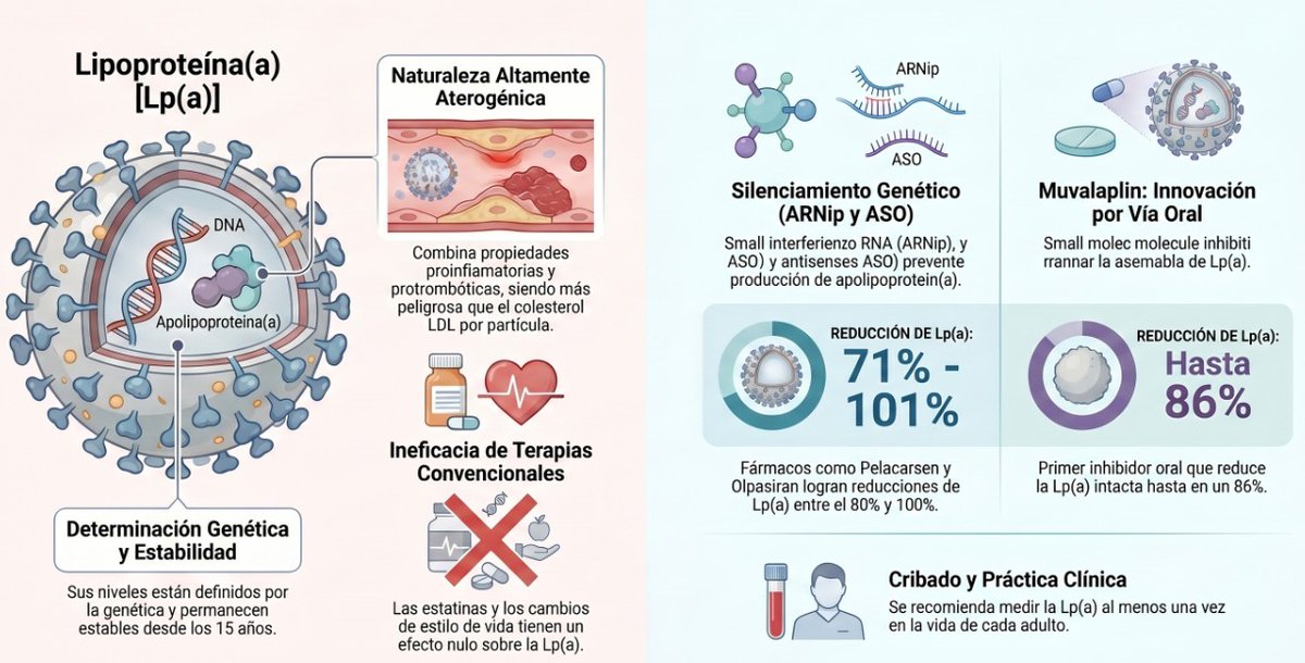 CardioTeca tweet media