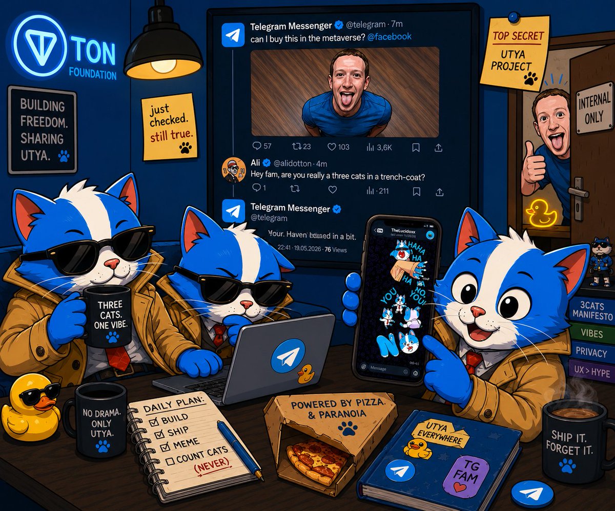 3CATS tweet media
