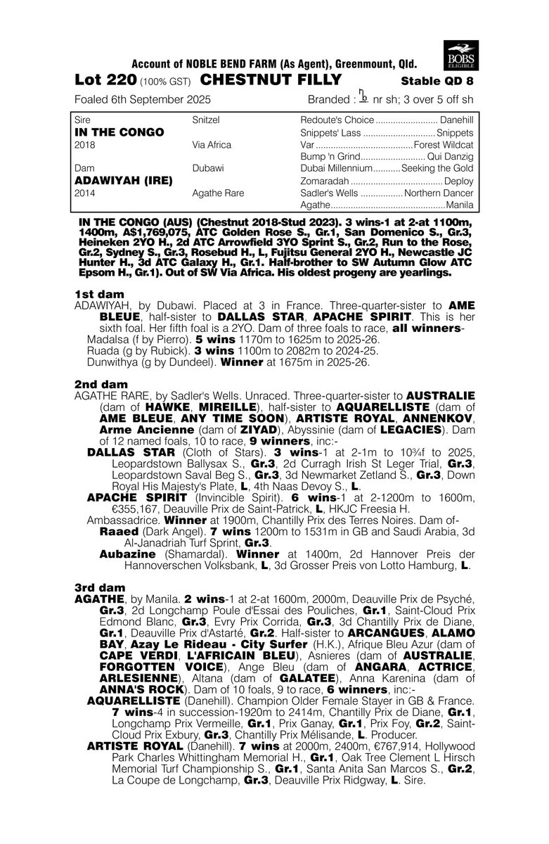BleuBallymore's tweet photo. 🇦🇺 National Weanling Sale @mmsnippets

Lot 2️⃣2️⃣0️⃣ : Filly by @NewgateFarm IN THE CONGO from ADAWIYAH consigned by @noblebend

🗣 1st dam, ADAWIYAH, sister of G3 winner DALLAS STAR &amp; Listed winner APACHE SPIRIT

🗣 2nd dam, AGATHE RARE, sister of triple G1 winner AQUARELLISTE https://t.co/xYv5ODgTn9