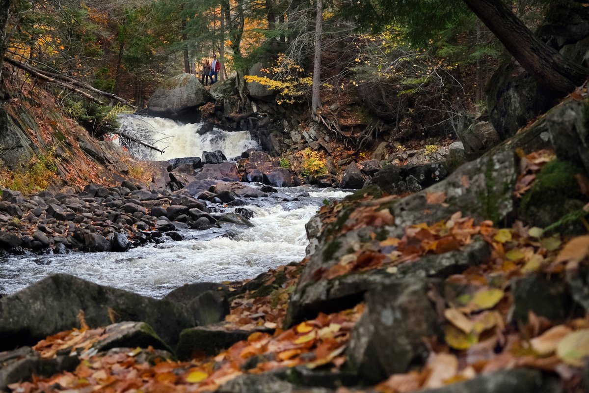 GeorgePirieMPP's tweet photo. This week, we will be showcasing some of the incredible waterfalls that highlight the North’s unmatched natural beauty.

Starting with Brooks Falls in the Township of Perry, this destination offers visitors a stunning riverside escape, while just up the highway in @cityofnorthbay  the Duchesnay Falls provides incredible views and scenic trails right in the heart of the community.

This summer, don’t miss the chance to explore northern Ontario and experience them for yourself.
