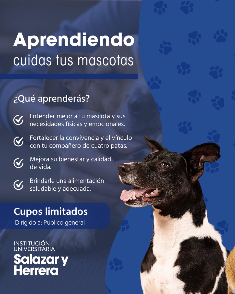 _IUSH's tweet photo. Tu mascota es parte de tu familia🐾
Aprende a entenderla, cuidarla y mejorar realmente su bienestar. 💙

📲 Más info  al WhatsApp +57 320 564 7940

🐶🐱
Inscríbete aquí 👉🏼https://t.co/sxyTKzKeaH https://t.co/31apbbczOf