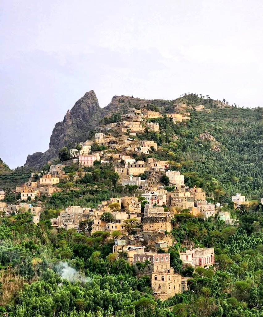 B_Albokarii's tweet photo. في أعالي قمم مديرية جبل حبشي في تعز …
قرية العدف تحكي جمال اليمن كما ينبغي أن يُرى. 💚
#جبل_حبشي #تعز https://t.co/dkTuoSQH2k