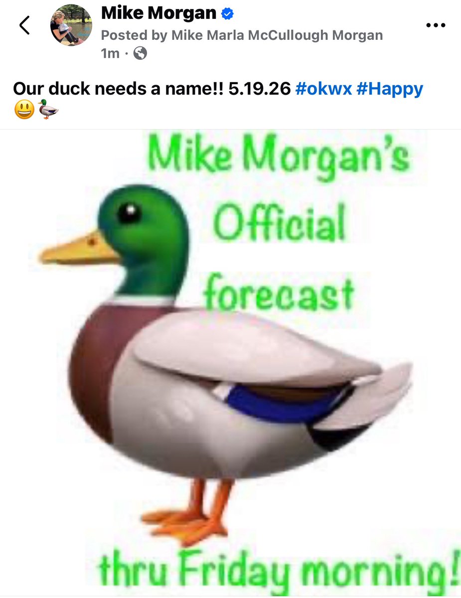 Mike Morgan tweet media