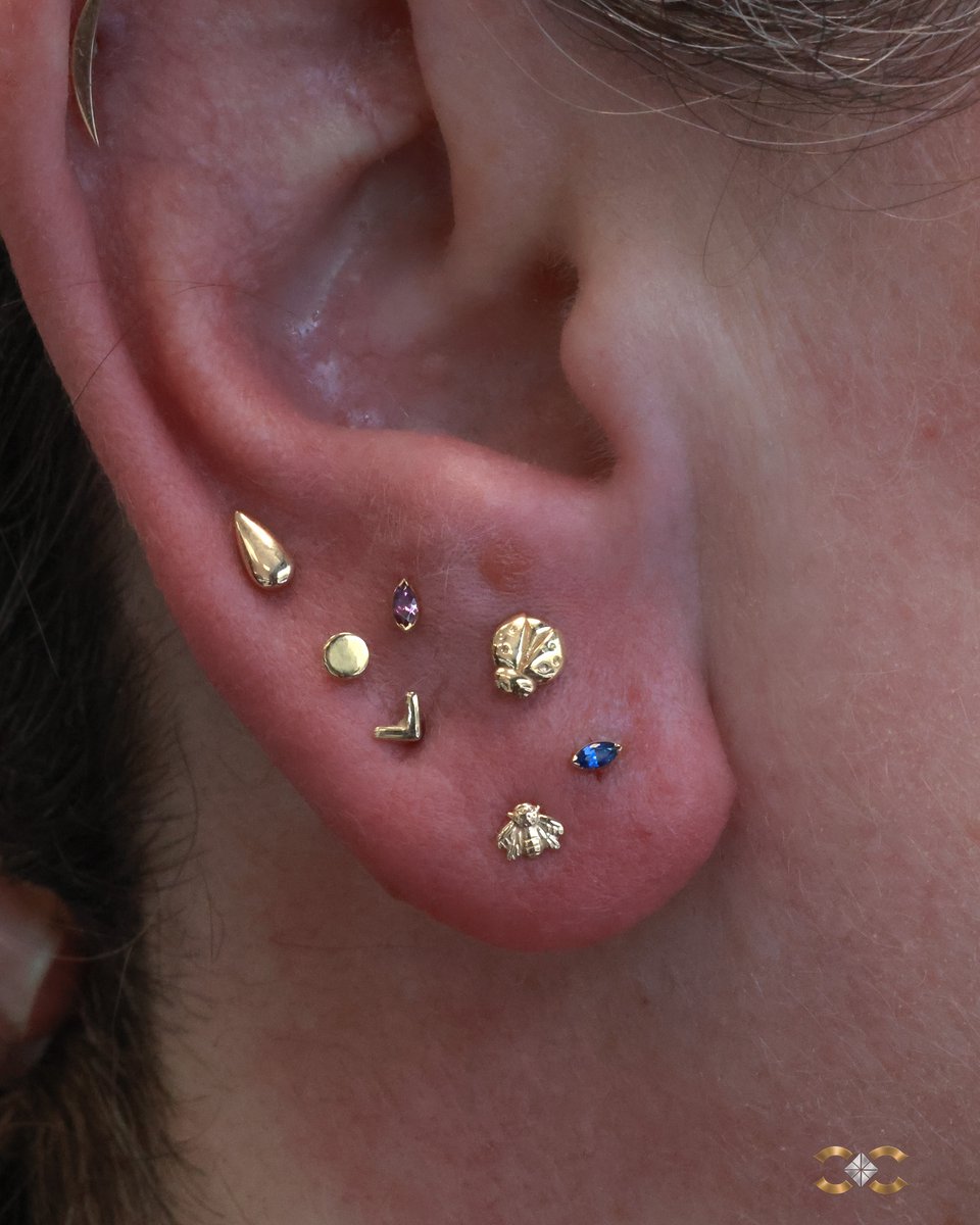 Piercer Charlie's Creations tweet media