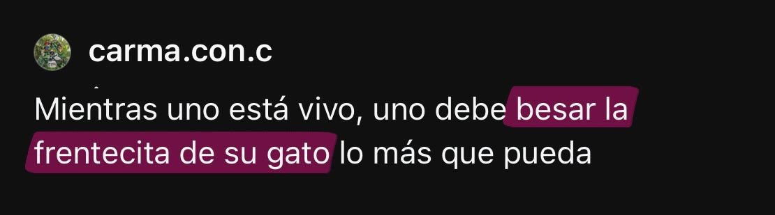 Florencia Parga 🪞💭🤭 tweet media