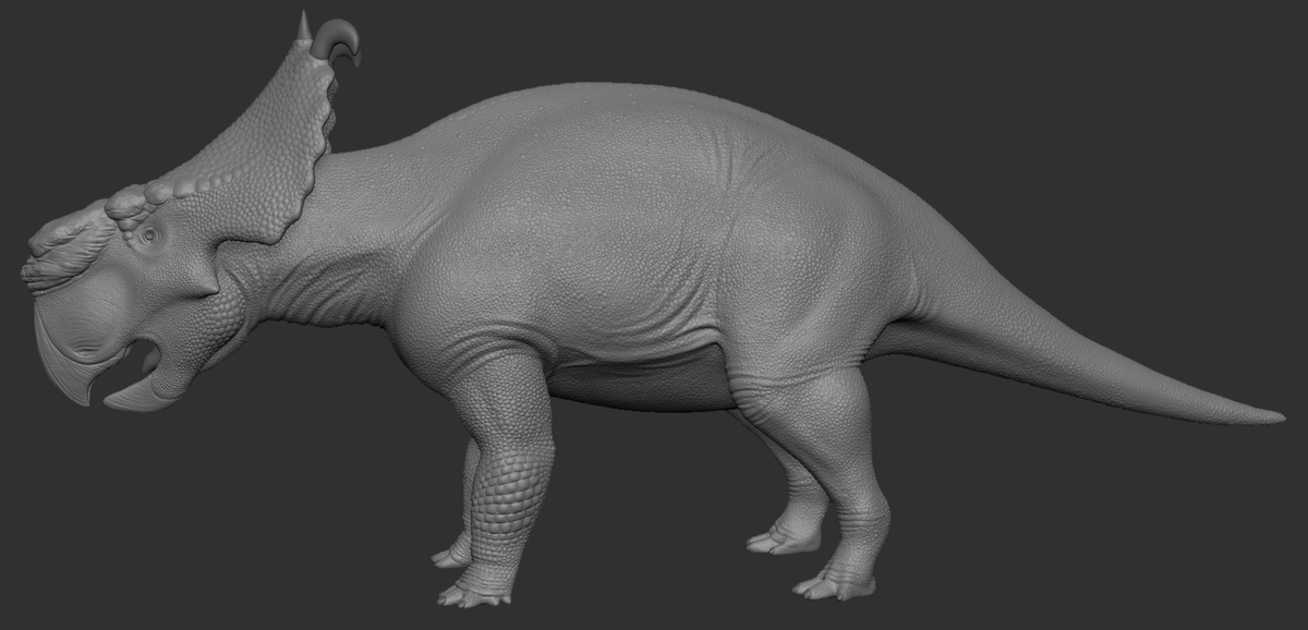 Avocadosaur_'s tweet photo. Been ages since I posted anything. Here is a Pachyrhinosaurus sculpt I finished recently. I would say that this one turned out much better than my first Dinosaur sculpt I did last year.

#paleoart #zbrush #3Dart #sculpt https://t.co/K40lPRB8FU