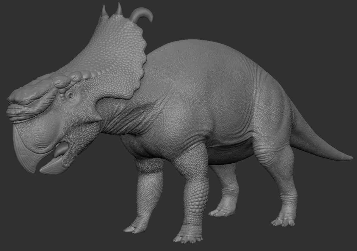 Avocadosaur_'s tweet photo. Been ages since I posted anything. Here is a Pachyrhinosaurus sculpt I finished recently. I would say that this one turned out much better than my first Dinosaur sculpt I did last year.

#paleoart #zbrush #3Dart #sculpt https://t.co/K40lPRB8FU