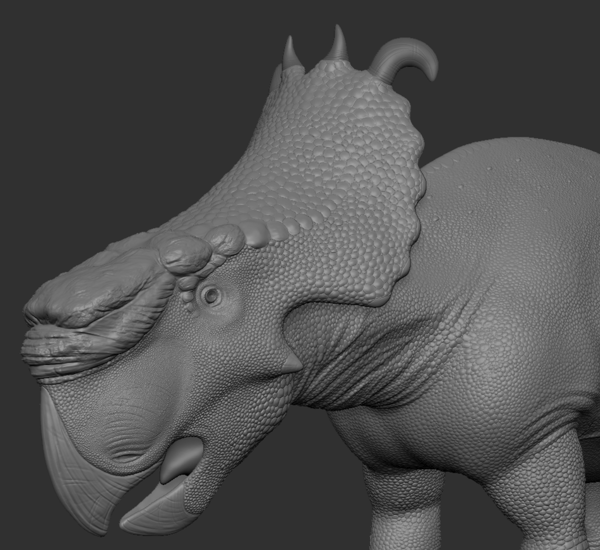 Avocadosaur_'s tweet photo. Been ages since I posted anything. Here is a Pachyrhinosaurus sculpt I finished recently. I would say that this one turned out much better than my first Dinosaur sculpt I did last year.

#paleoart #zbrush #3Dart #sculpt https://t.co/K40lPRB8FU
