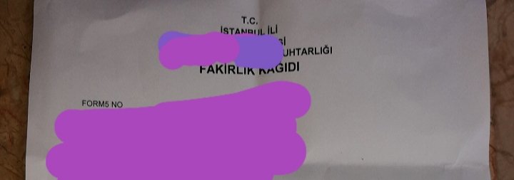 Aysema🕊 tweet media