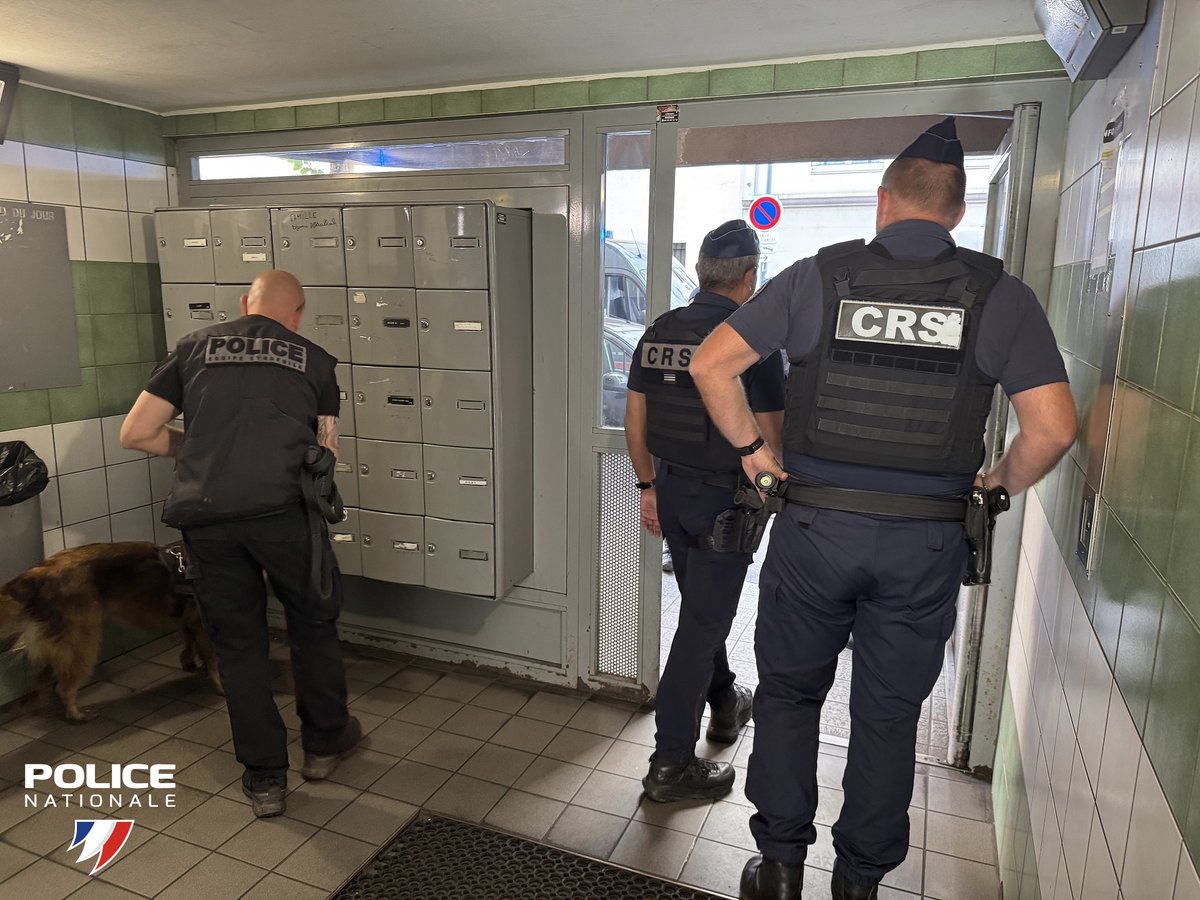 PoliceNat69's tweet photo. Depuis ce matin, les opérations menées par #PoliceNat69 ont permis
➡️ 84 interpellations
➡️ 62 amendes forfaitaires délictuelles
➡️ la saisie de 106 kg de produits stupéfiants, de 40000€ et 7 armes.
Les opérations se poursuivent. https://t.co/G7oiBFr5rI