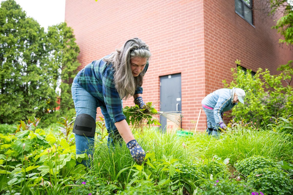 BlockClubCHI's tweet photo. The Garden Club of Morgan Park/Beverly Hills is celebrating 100 years of digging through dirt on the Far South Side. 🪴 https://t.co/xnx9jmEY69 https://t.co/SihXLjMJEf