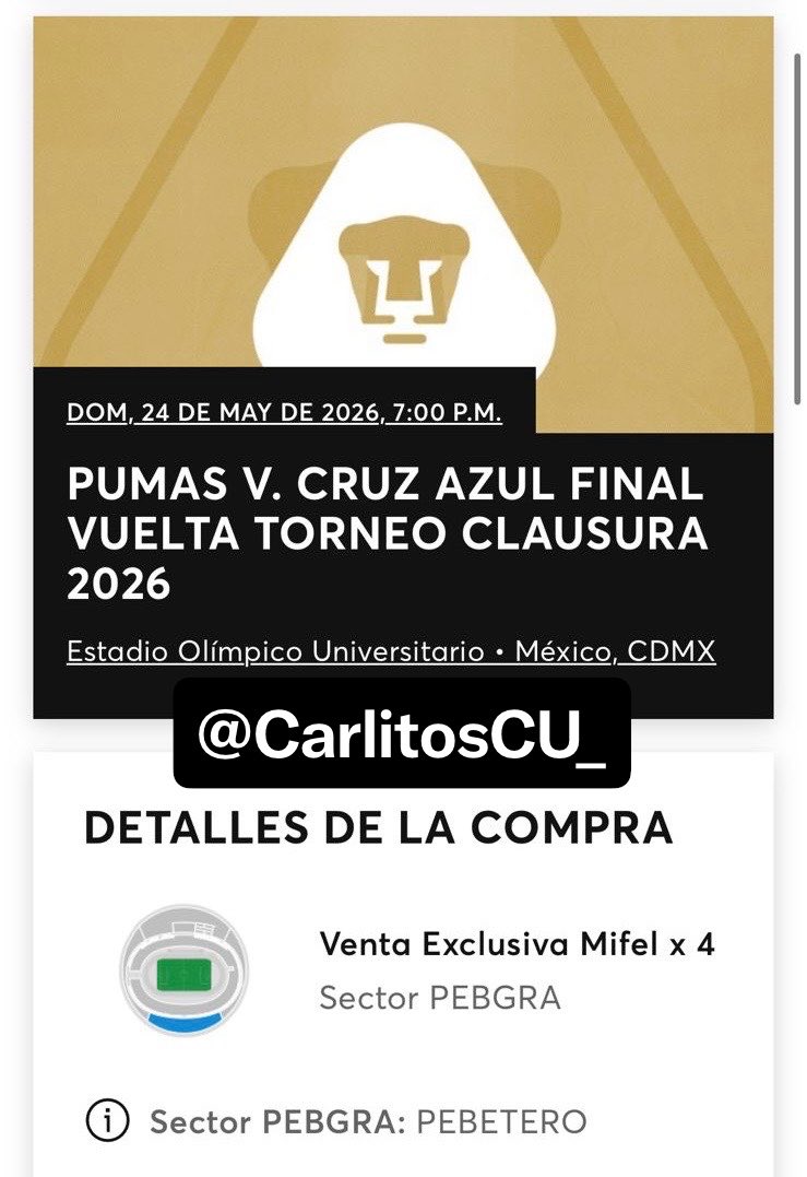 Carlitos. tweet media