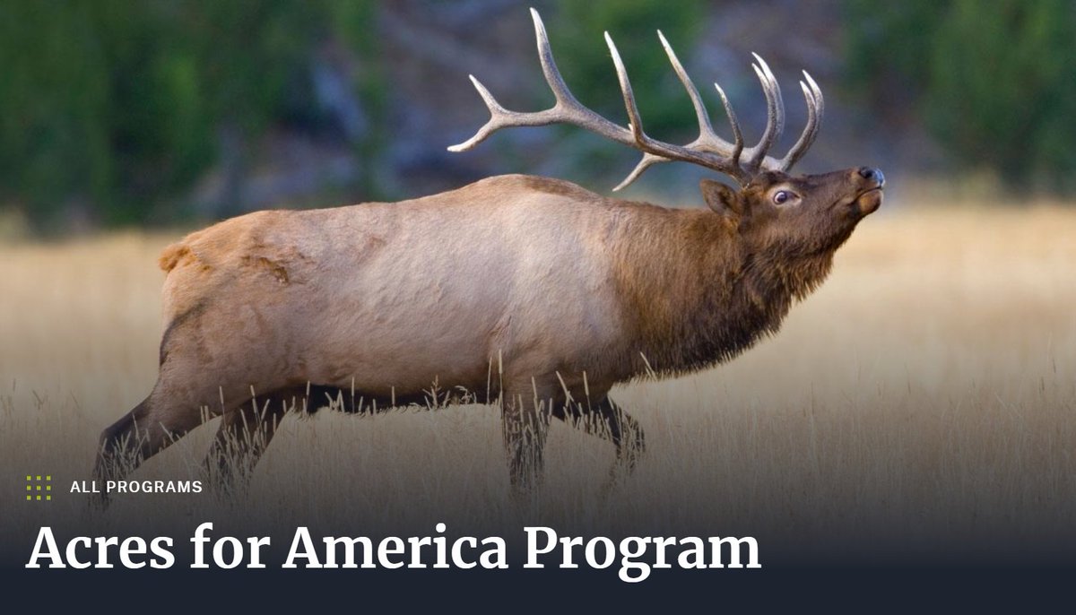 kvuwr60's tweet photo. In 2005, the NFWF launched the Acres for America program with Walmart to protect and restore millions of acres of wildlife habitat. They were able to connect lands to protect migration routes and fund emergency responses for threatened animals. https://t.co/Q4EiDg40vb

#60animals https://t.co/SC4xiw7c6S