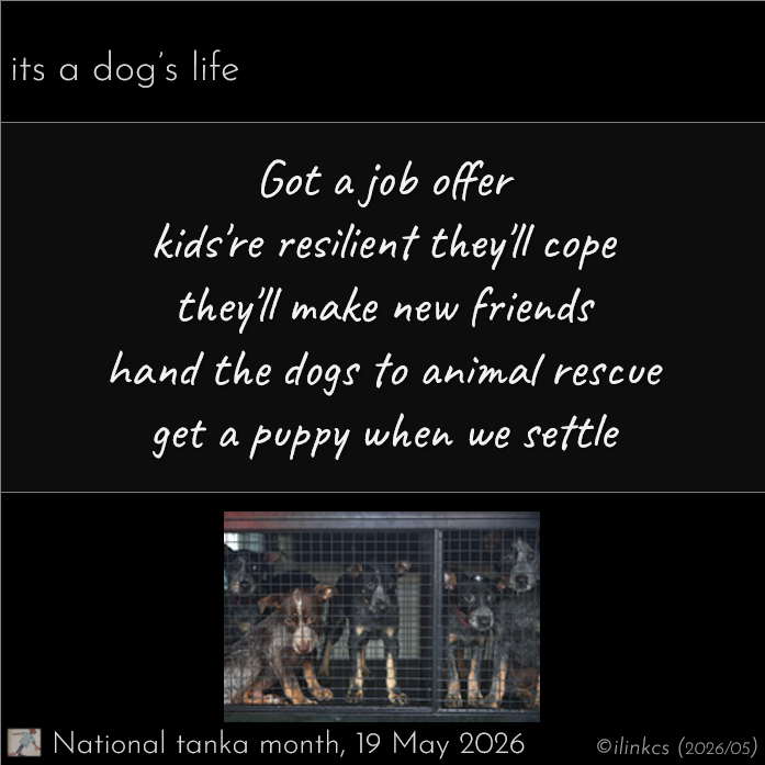 ilinkcs's tweet photo. on my mind is …
Animal Welfare
and how sad it is
that such an organization
even needs to exist
do your part in making it
a permanent part of our past
…
National Tanka Month #unprompted
ALT=deets & notes
#poem #poetry #tanka #NaTankaMo #MayTanka
#animalrescue #dogs https://t.co/gN3AjVyGJM