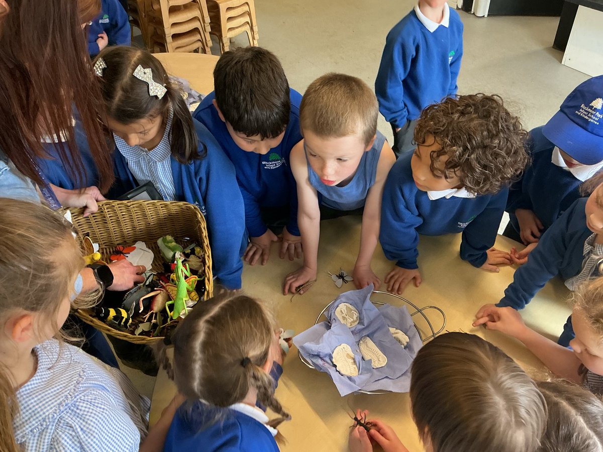 bpinfant's tweet photo. This evening, during #BPIForestSchool, the children went on a bug hunt and made fossils using salt dough! 🐞🐜🐛🐝🪵🌲 #BPIScience https://t.co/vIjCWyw6Vf