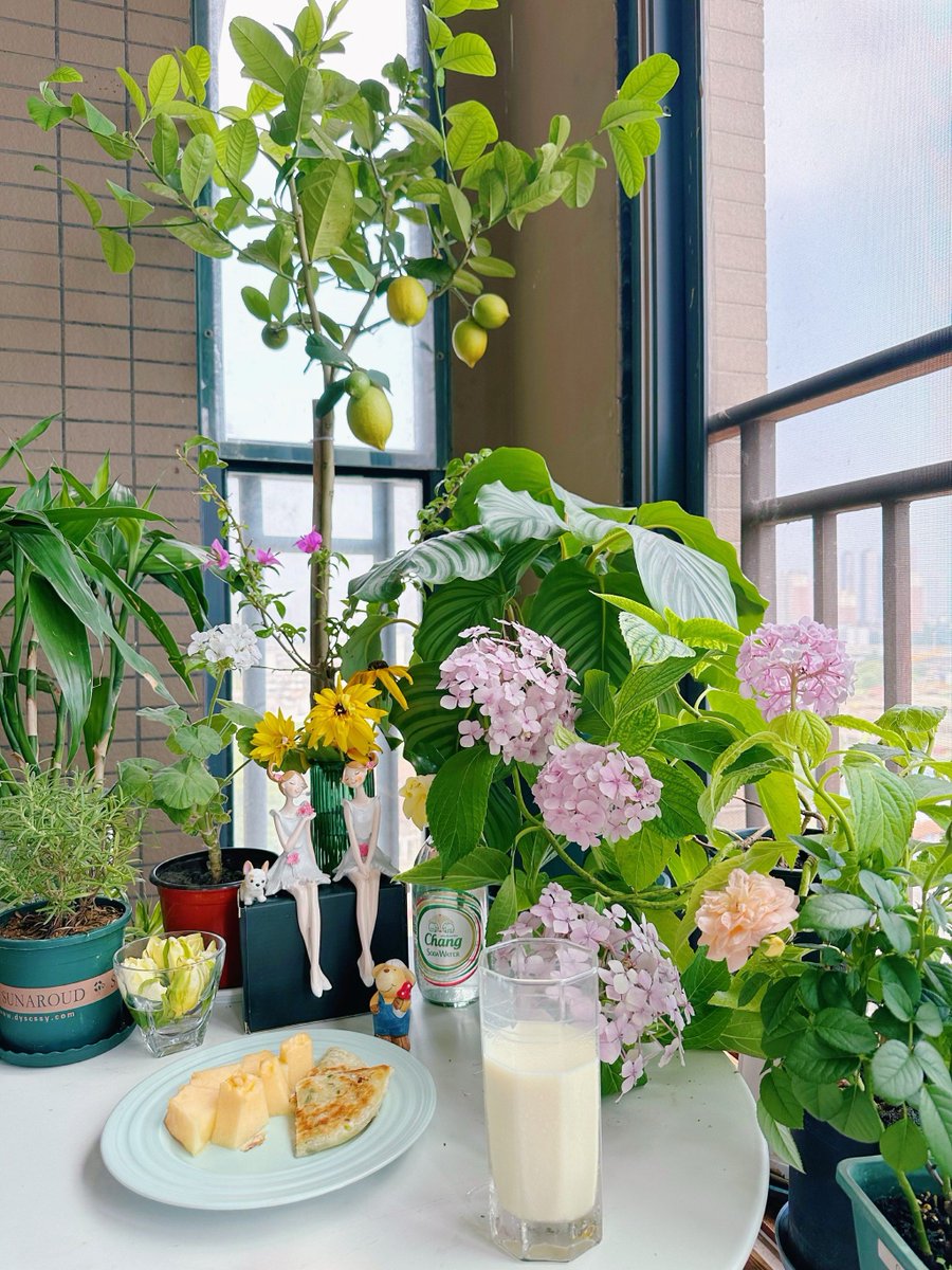 ThatguyGym's tweet photo. Neighborly win! Shared my extra homegrown tomatoes with Mr. Lee, he dropped off warm apple pie in return. Small acts = big joy ， https://t.co/mvfjpyQ7lN