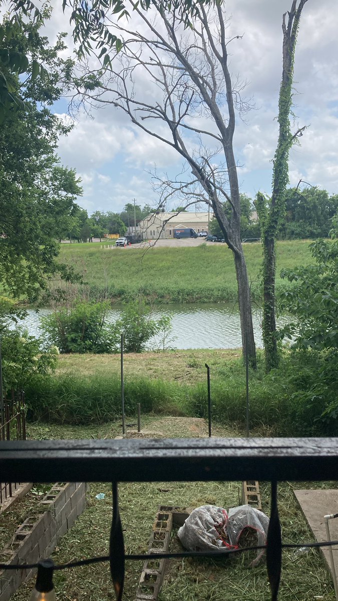 sup00dy's tweet photo. City trimmed the trees to the bayou path now I can’t sun my balls https://t.co/p90fpQ62sf