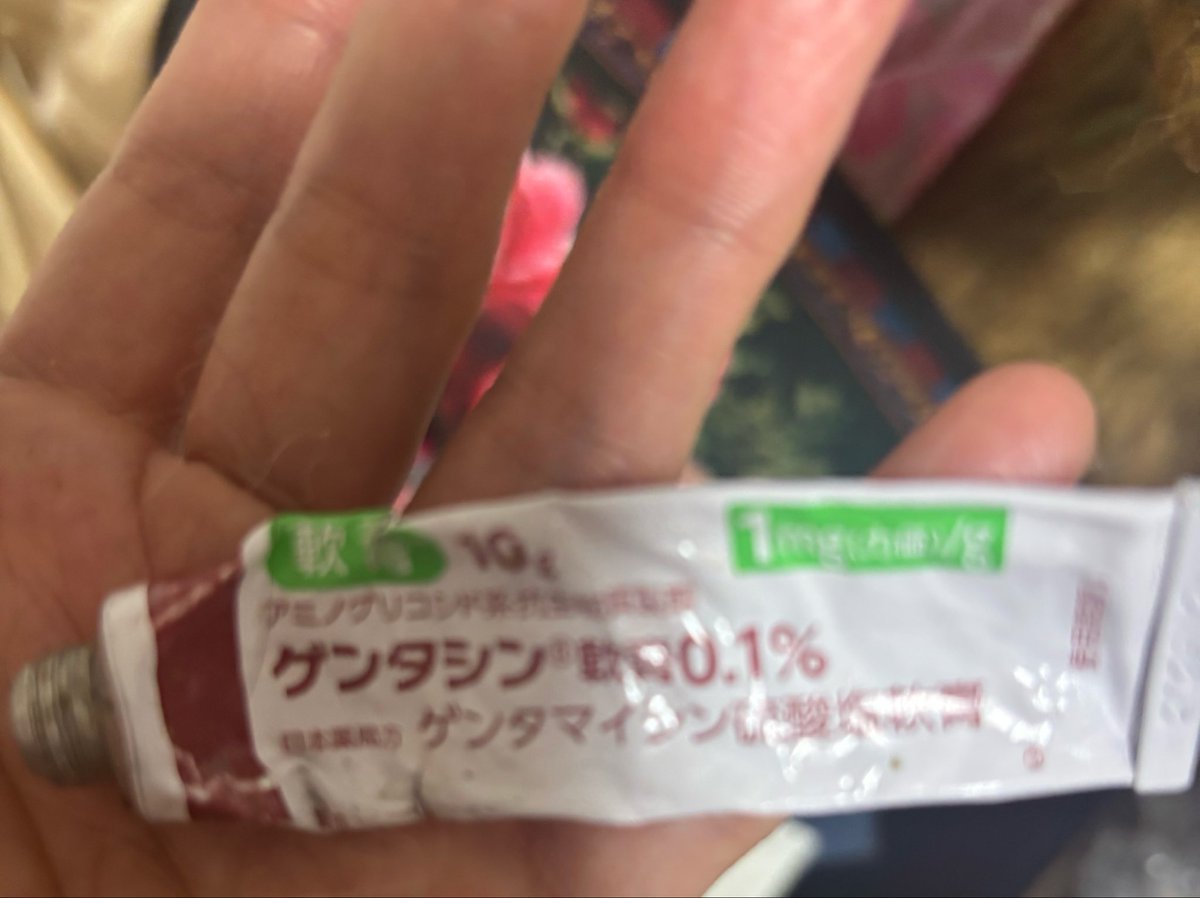 さーたん (@satan2319) / Posts / X