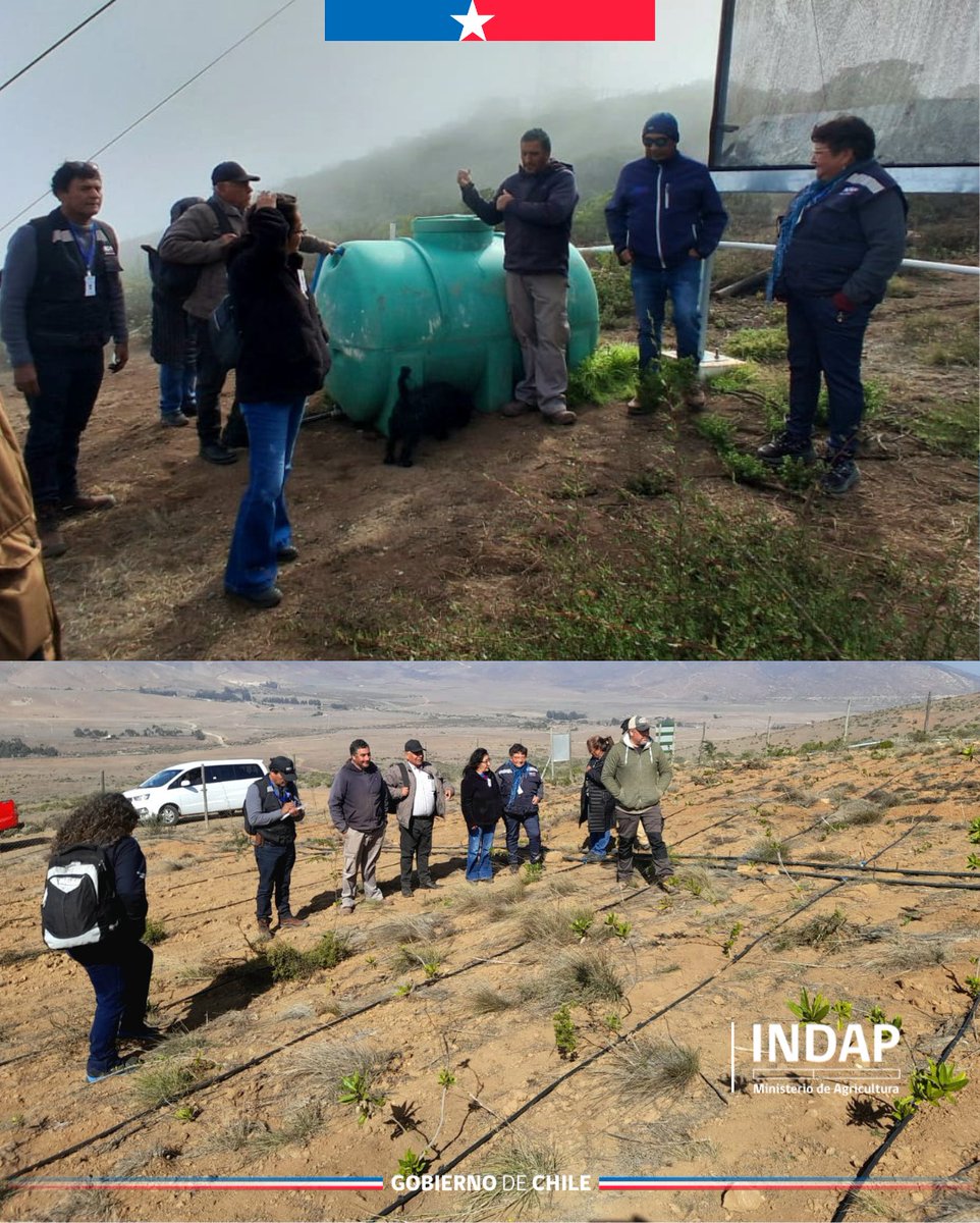 Indap_coquimbo tweet picture