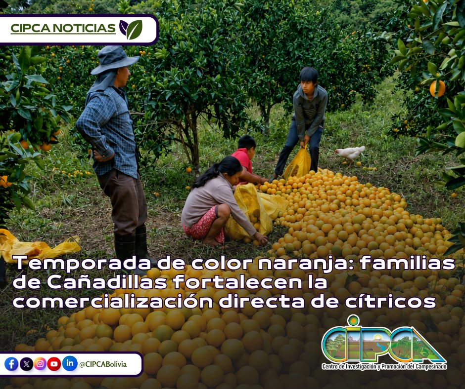 CIPCA tweet media