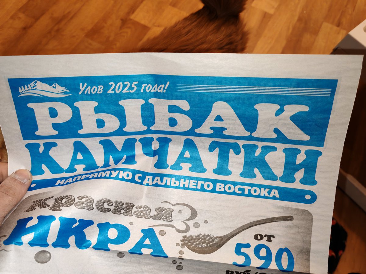Дневник аутиста tweet media