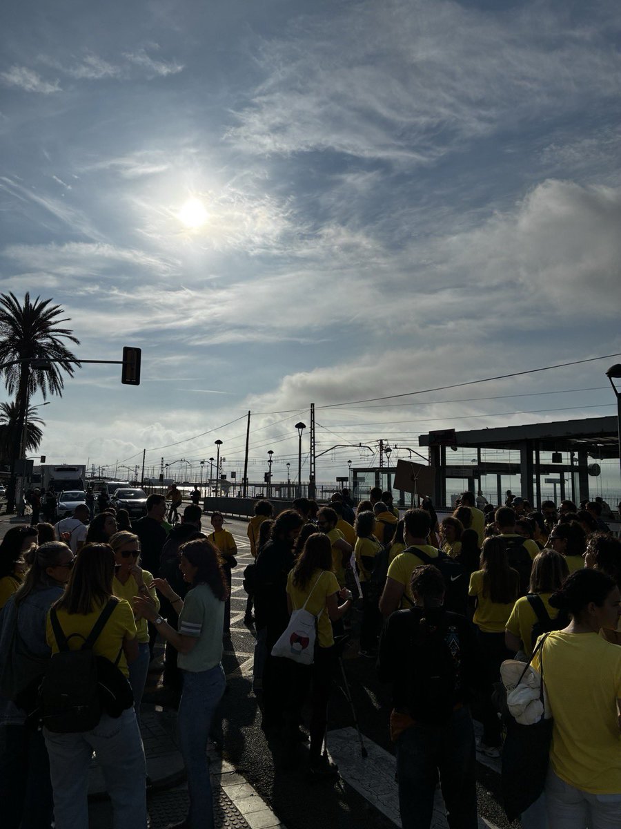 Maresme OJS tweet media