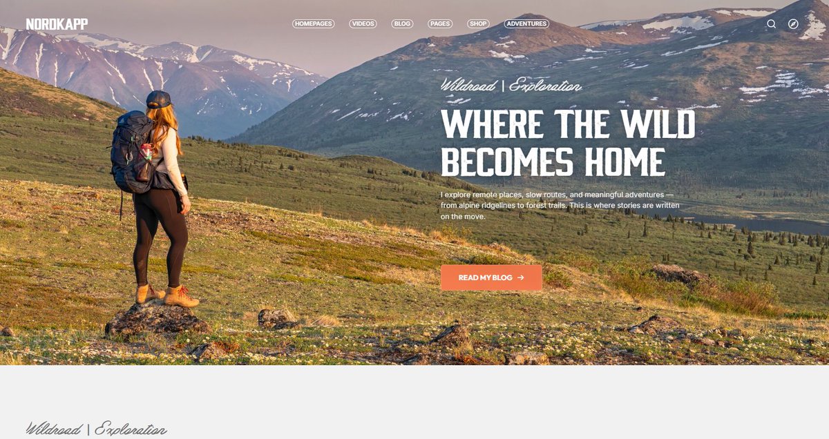 WolfThemes tweet media