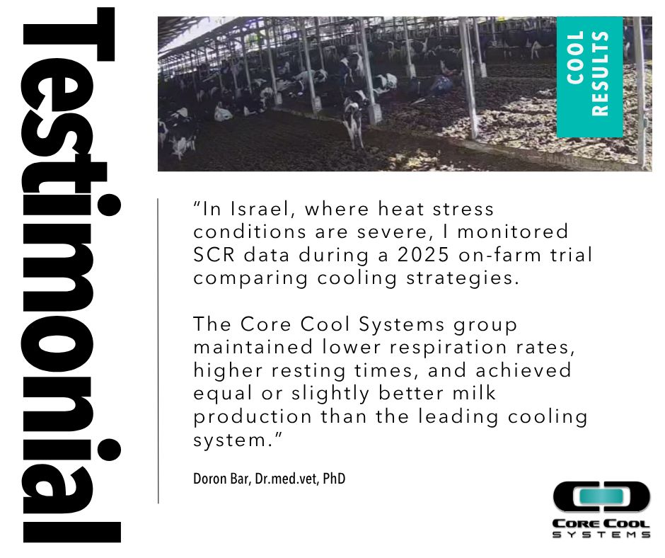 CoreCoolSystems's tweet photo. Many farms already have cooling systems. But cows are still struggling with heat stress during prolonged periods of severe heat.
What if cooling focused on continuously cooling the cow, not just temporary relief?
An on-farm trial challenges this: https://t.co/2Igx9xXrdd https://t.co/meYcEsJiRR