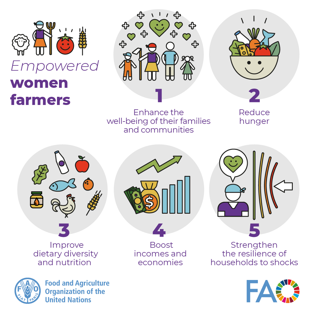FAO's tweet photo. Investing in women transforms agrifood systems for all.

Here are 5️⃣ benefits of empowered women farmers 👇

#YearOfTheWomanFarmer #IYWF2026 https://t.co/a9M6FBu1OE