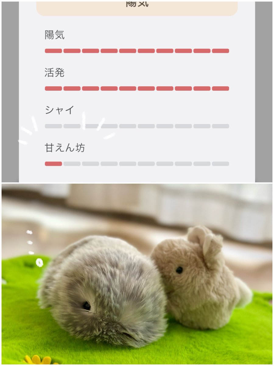 ぼんてん&にこげ tweet media