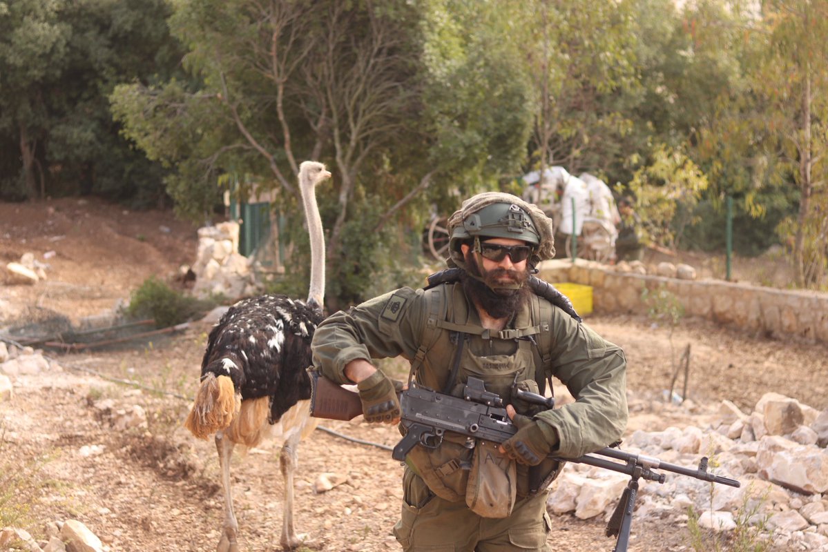 Yehonatan Cohen tweet media