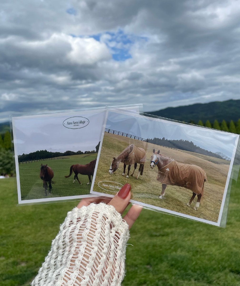 maplex08's tweet photo. 🌲🐎🌳゜* https://t.co/n9F2ZUm7B6