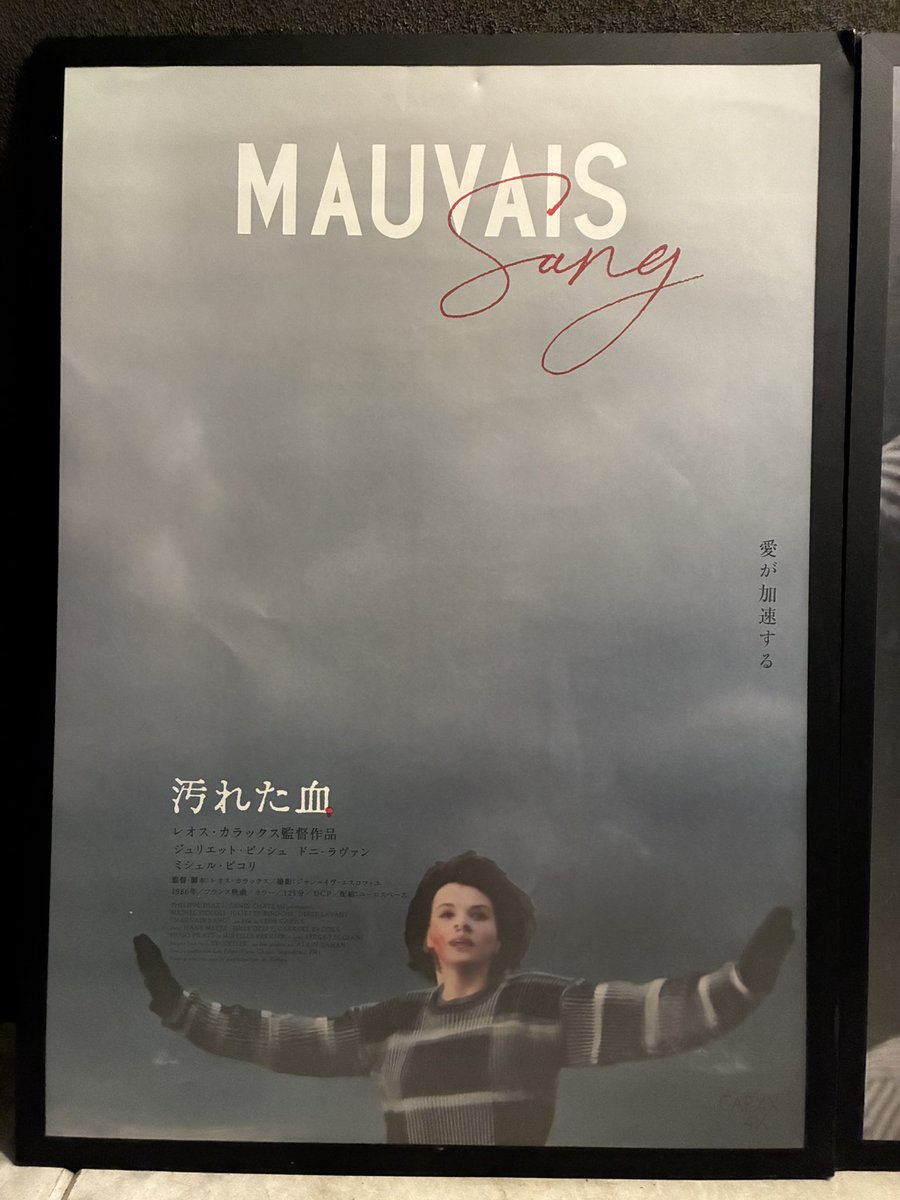ボーイ・ミーツ・ガール&汚れた血&ポンヌフの恋人 DVD-BOX〜レオス