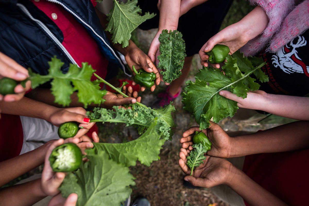 USDA Food and Nutrition tweet media
